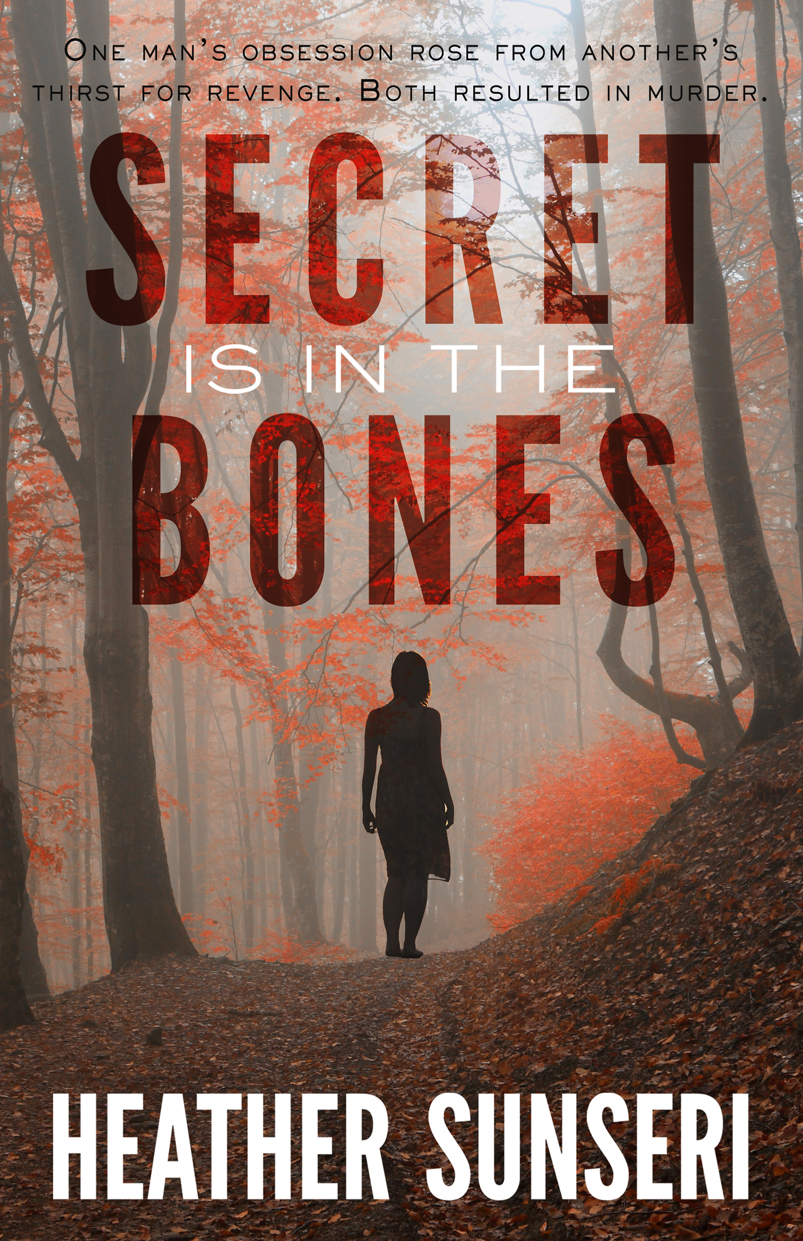 Secret is in the Bones by Heather Sunseri Paynes Creek psychological thriller romantic suspense